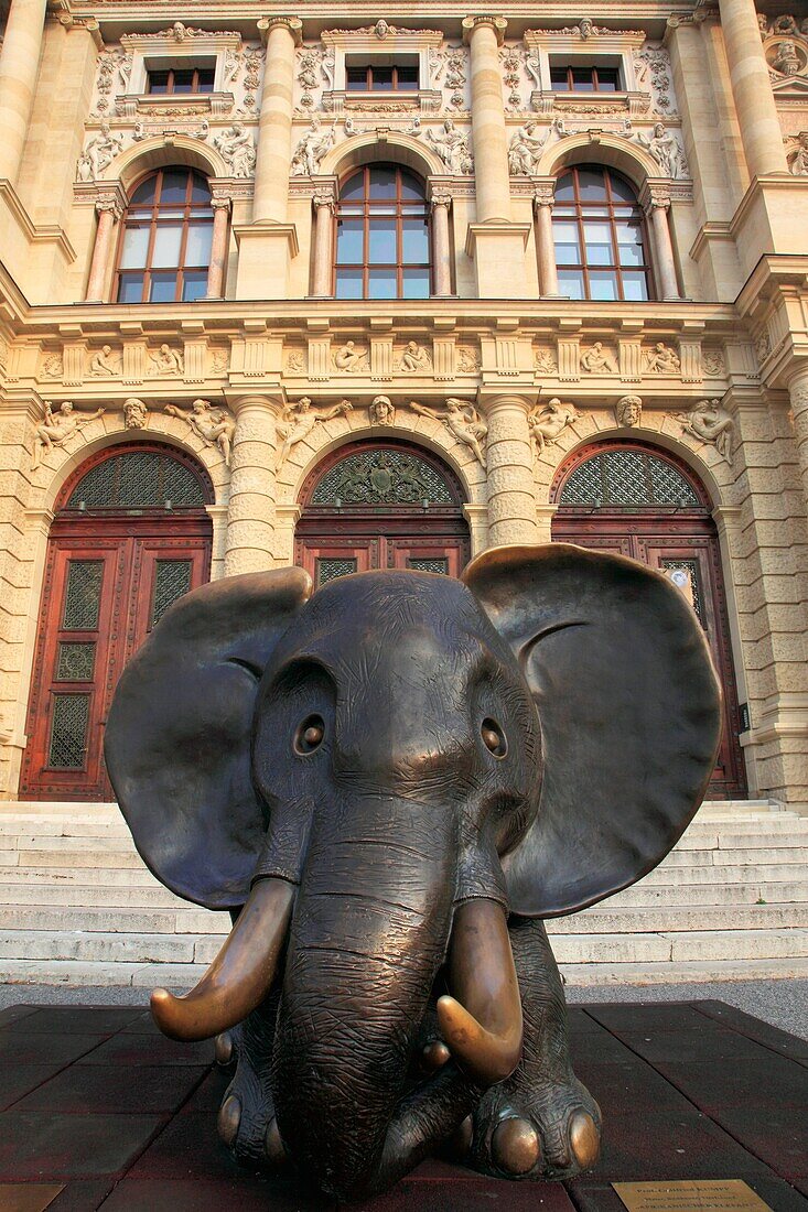 Austria, Vienna, Museum of Natural History, elephant statue