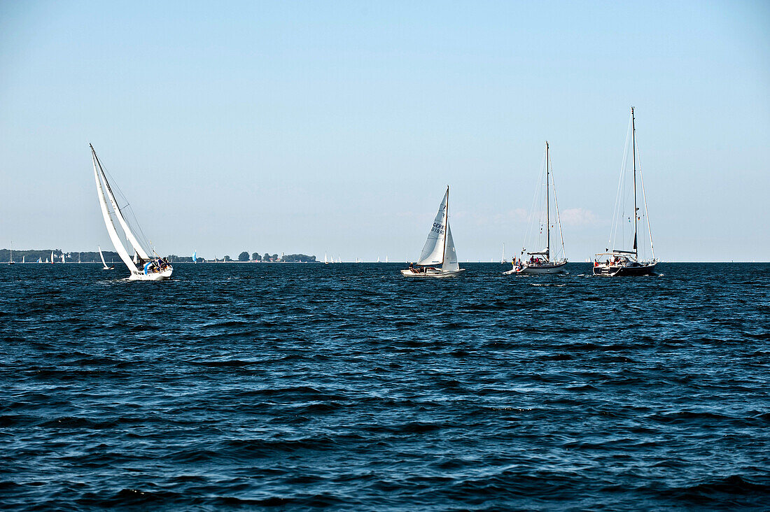 Sailing boats in the bay of Kiel, Ostsee, Schleswig-Holstein, Germany