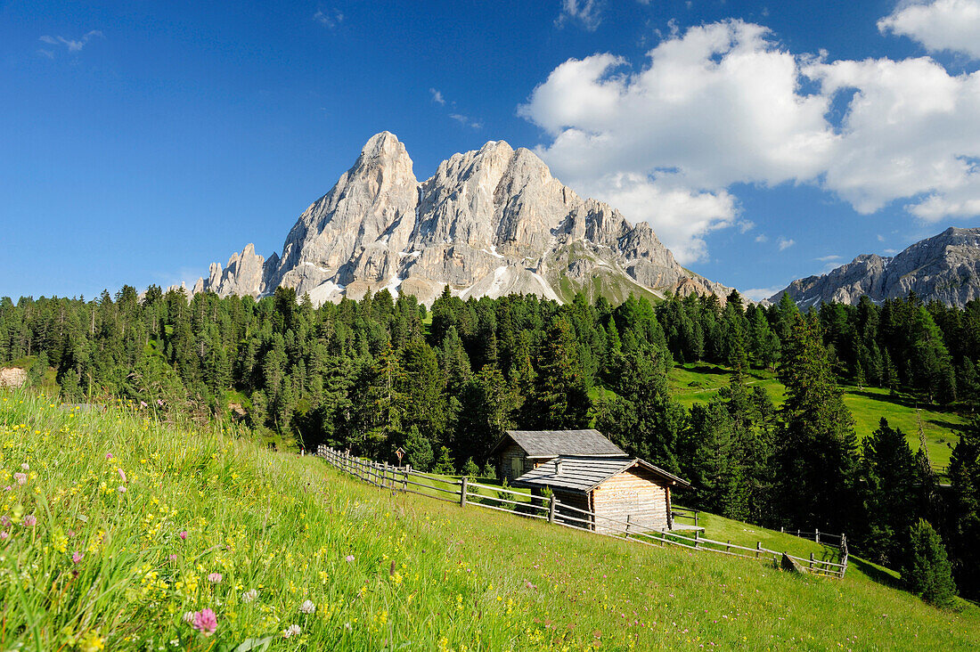 Blumenwiese und Almstadel vor Peitlerkofel, Dolomiten, UNESCO Weltkulturerbe Dolomiten, Südtirol, Italien