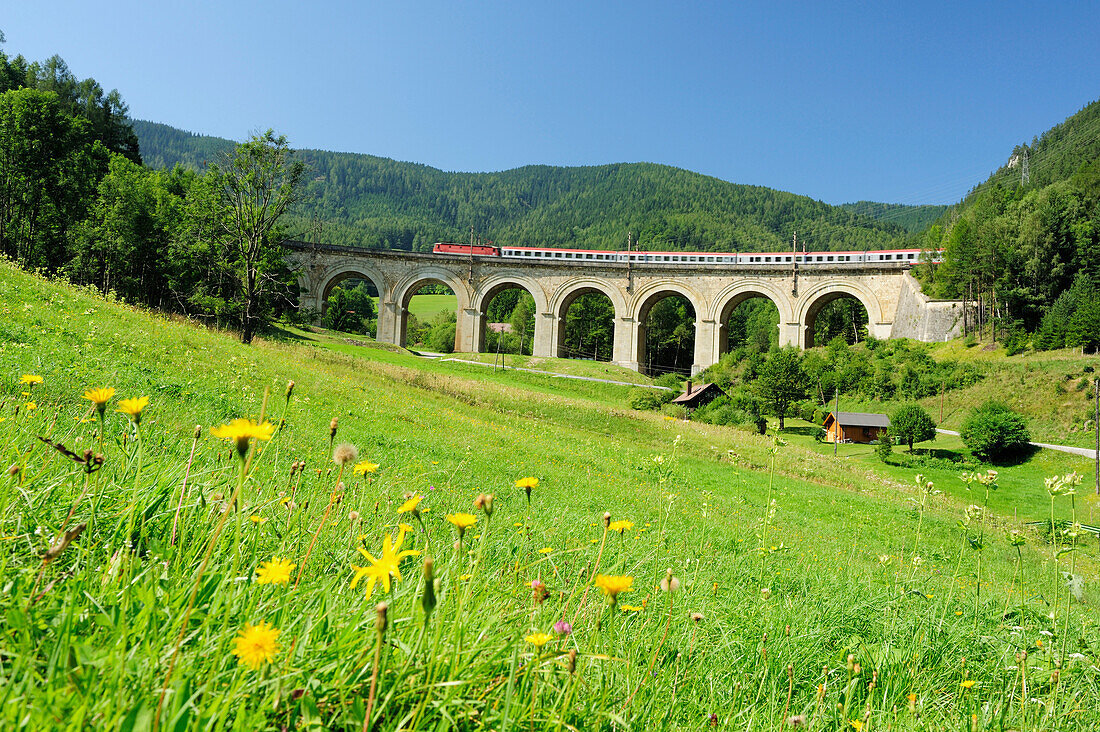 Train passing Fleischmannviaduct, Semmering railway, UNESCO World Heritage Site Semmering railway, Lower Austria, Austria