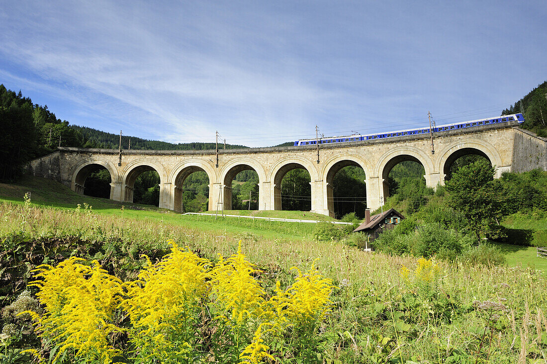 Zug fährt über Fleischmannviadukt, Semmeringbahn, UNESCO Weltkulturerbe Semmeringbahn, Niederösterreich, Österreich
