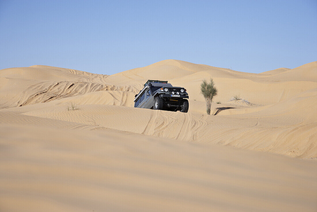 Toyota Landcruiser driving up dune, … – License image – 70319809 lookphotos