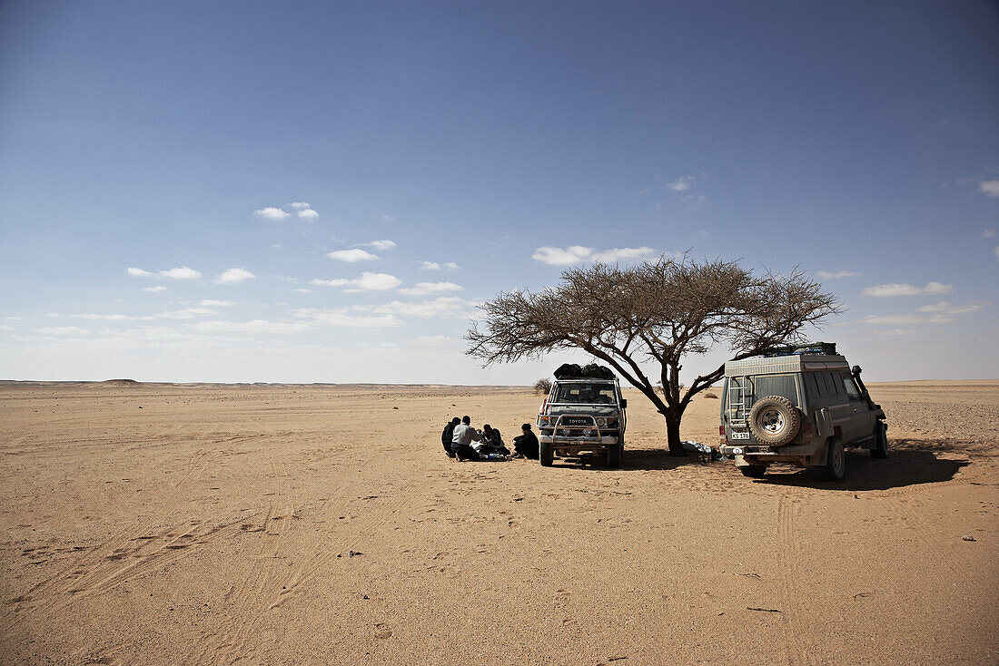 People having a break under an acacia, Murzuk sand sea, Lybia, Africa