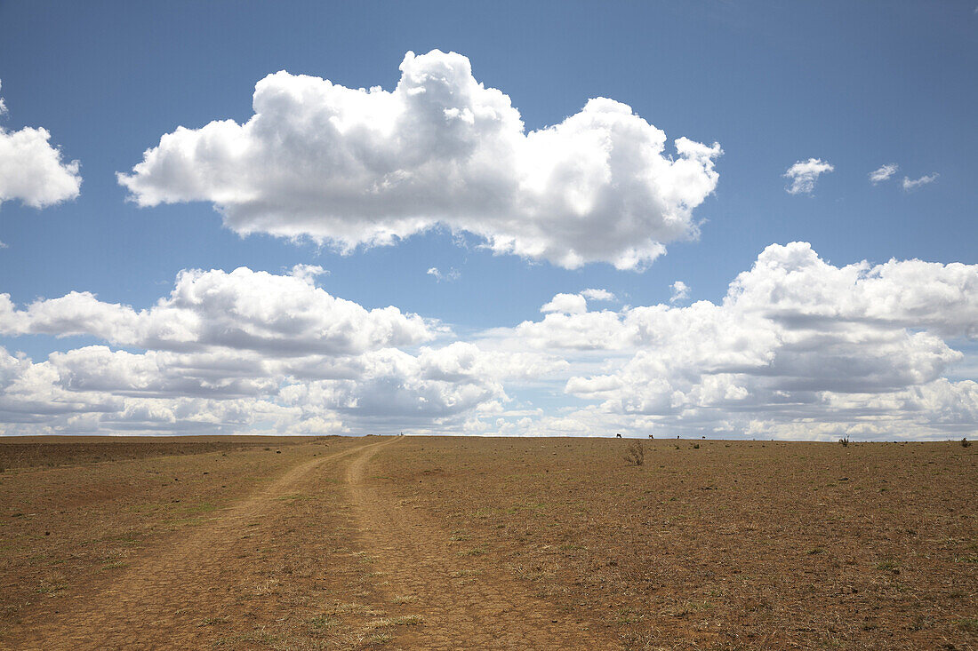 Sand track through steppe under clouded sky, Kenia, Afrika