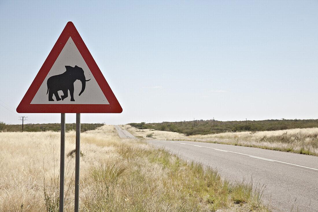 warning sign elephants crossing, Namibia, Africa