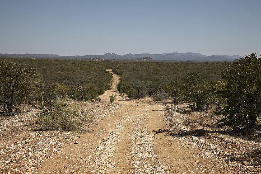 Schotterpiste durch Buschland, Van Zyl's Pass, Namibia, Afrika