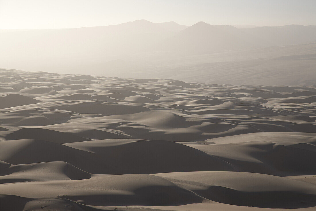 Dunes in the sunlight, Hartmann Valley, Namibia, Africa