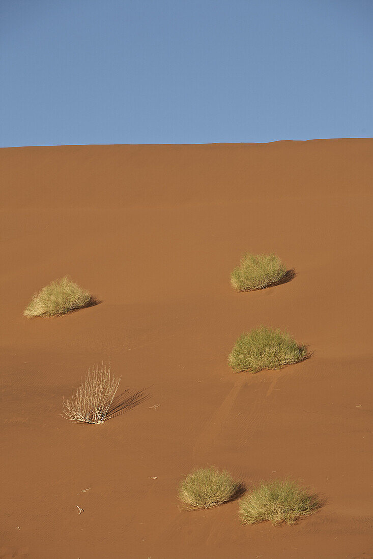 Rote Sanddüne im Namib Naukluft Park, Sossusvlei, Namibia, Afrika