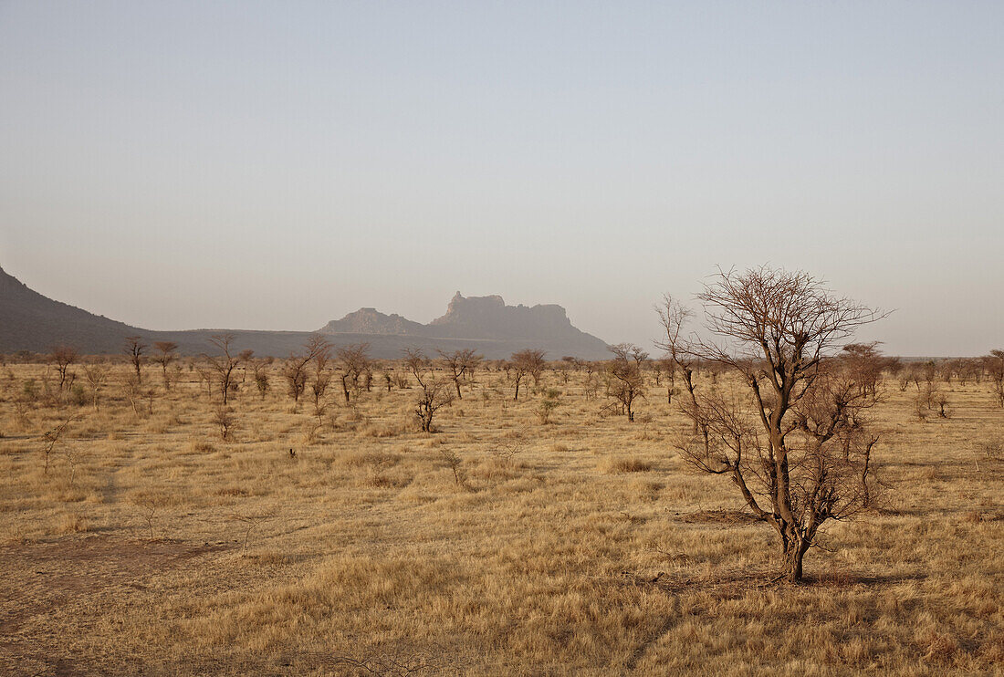 Barren veld in Dogon land, Mali, Africa