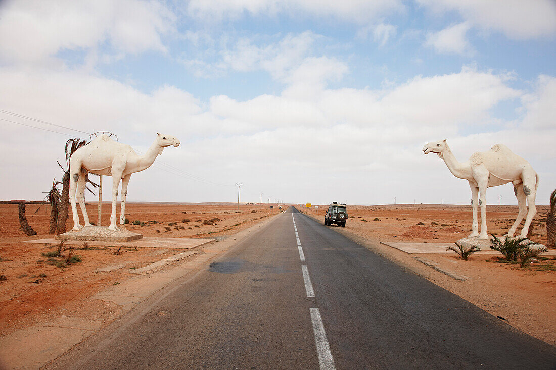 Kamelstatuen am Strassenrand, Tan-Tan, Marokko, Afrika