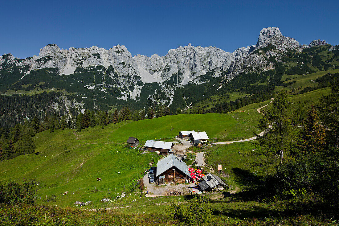 Loosegg Alm, Salzburger Land, Österreich