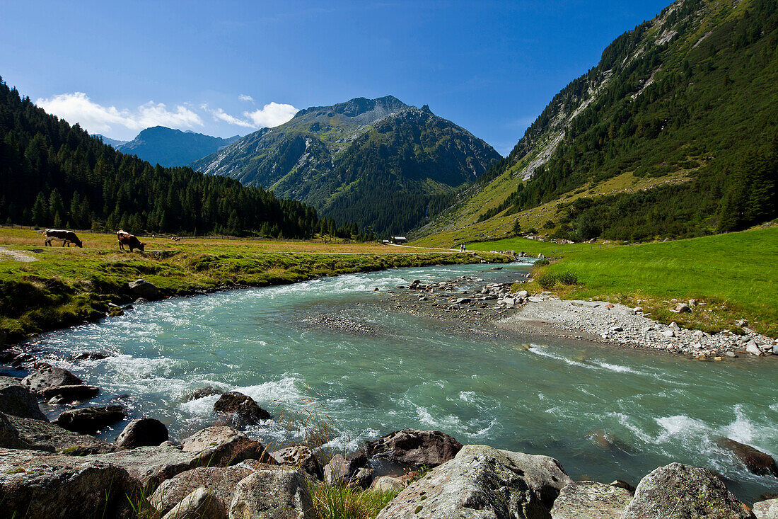 Krimmler Achental mit Krimmler Tauernhaus, Salzburger Land, Österreich