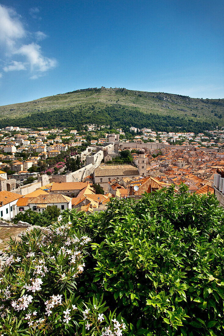Altstadt, Dubrovnik, Dalmatien, Kroatien