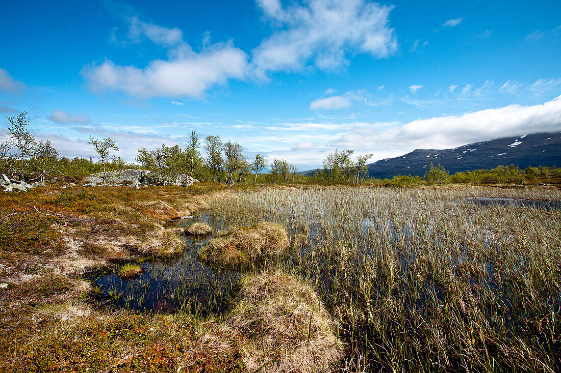 Landschaft bei Björkliden, Lappland, Nordschweden, Schweden