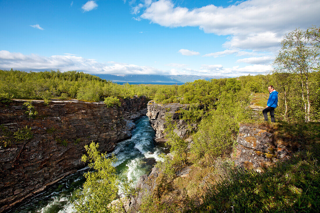 Hiker at Abisko river canyon, Abisko National Park, Lapland, northern Sweden, Sweden