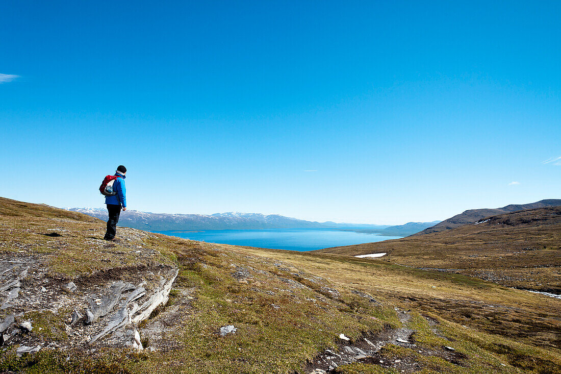 Hiker overviewing Torneträsk Lake, Lapland, northern Sweden, Sweden