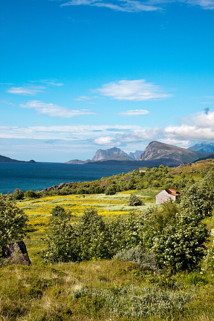 Nappstraumen, Vestvågøya island, Lofoten Islands, North Norway, Norway
