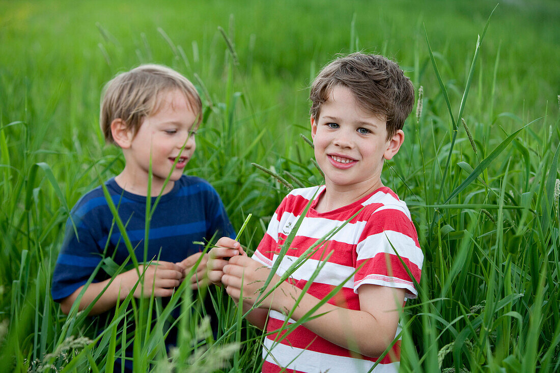 Two boys (6 - 7 Jahre) between grass