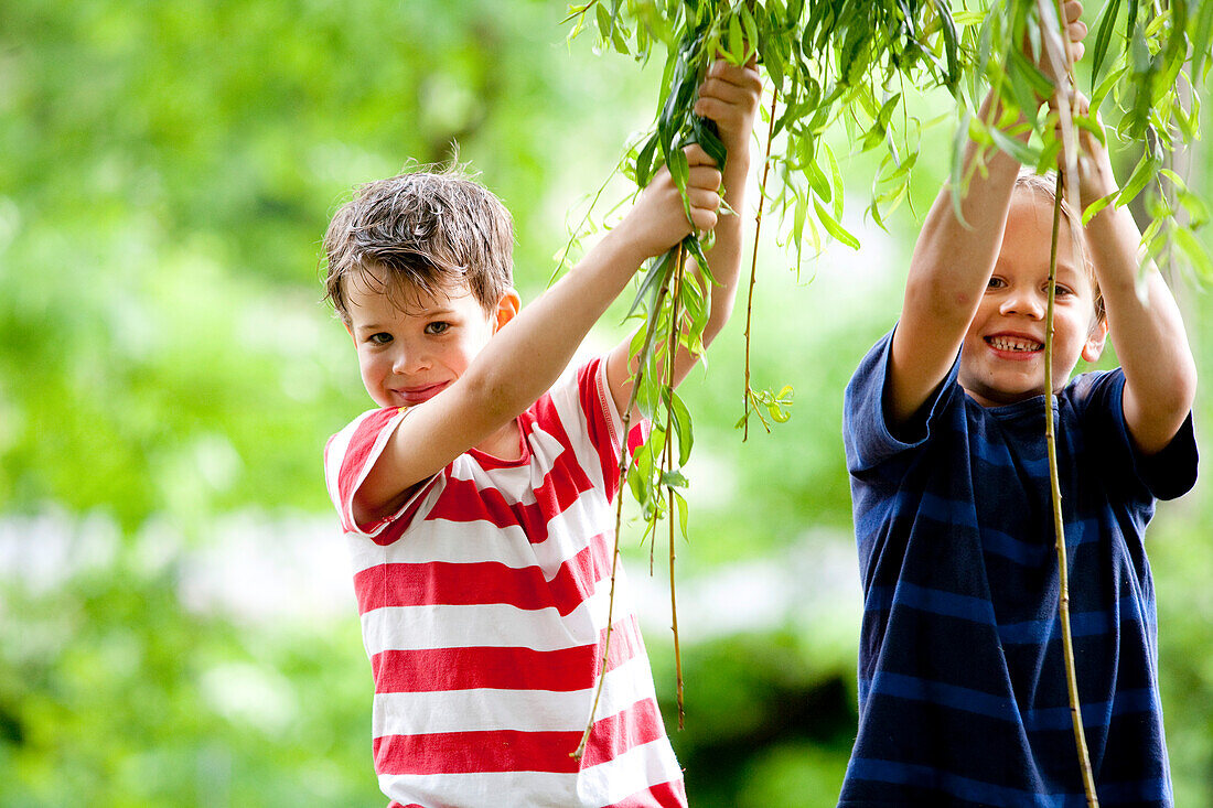 Zwei Jungen (6 - 7 Jahre) ziehen an einem Baum