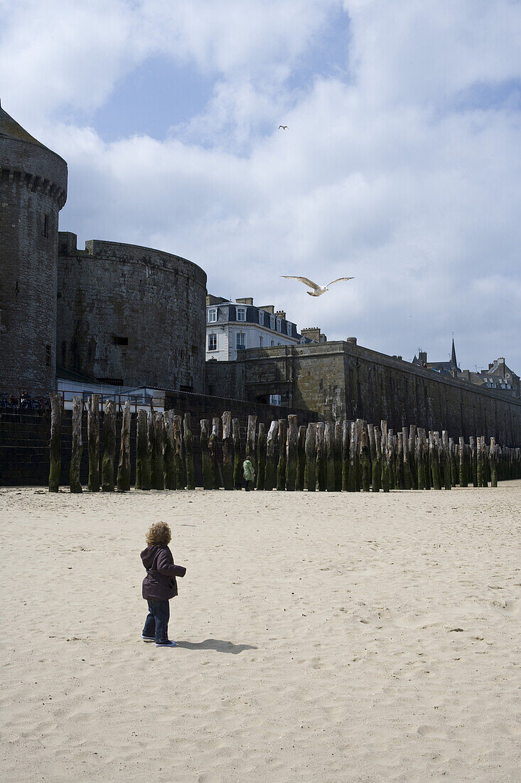 Kind am Strand beobachtet Möwen, St. Malo, Bretagne, Frankreich, Europa