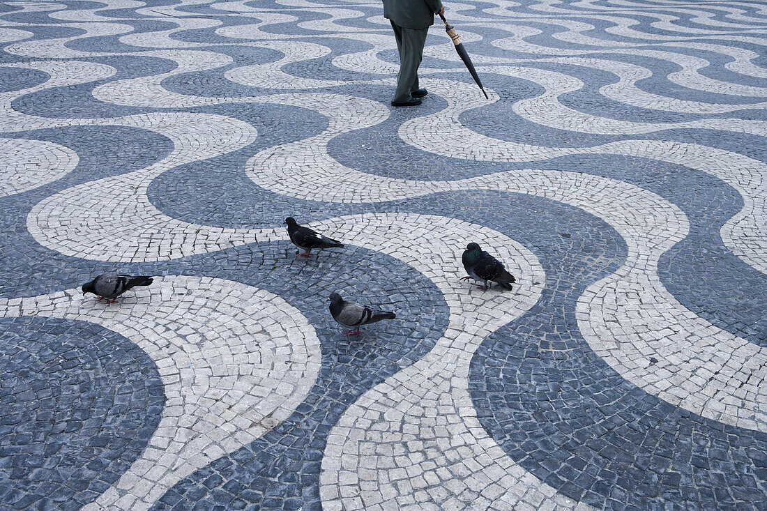 Alter Mann und Tauben auf Kopfsteinplaster am Praca de Dom Pedro IV., Rossio Platz, Lissabon, Portugal, Europa