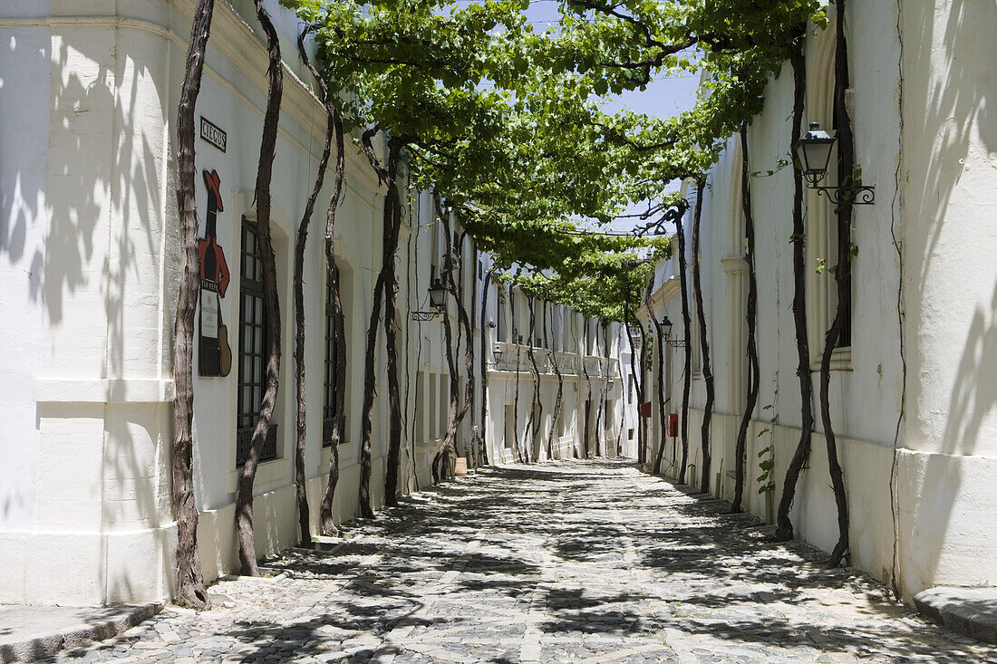 Gebäude im Sherry Weingut Bodega Tio Pepe Gonzales Byass, Jerez de la Frontera, Andalusien, Spanien, Europa