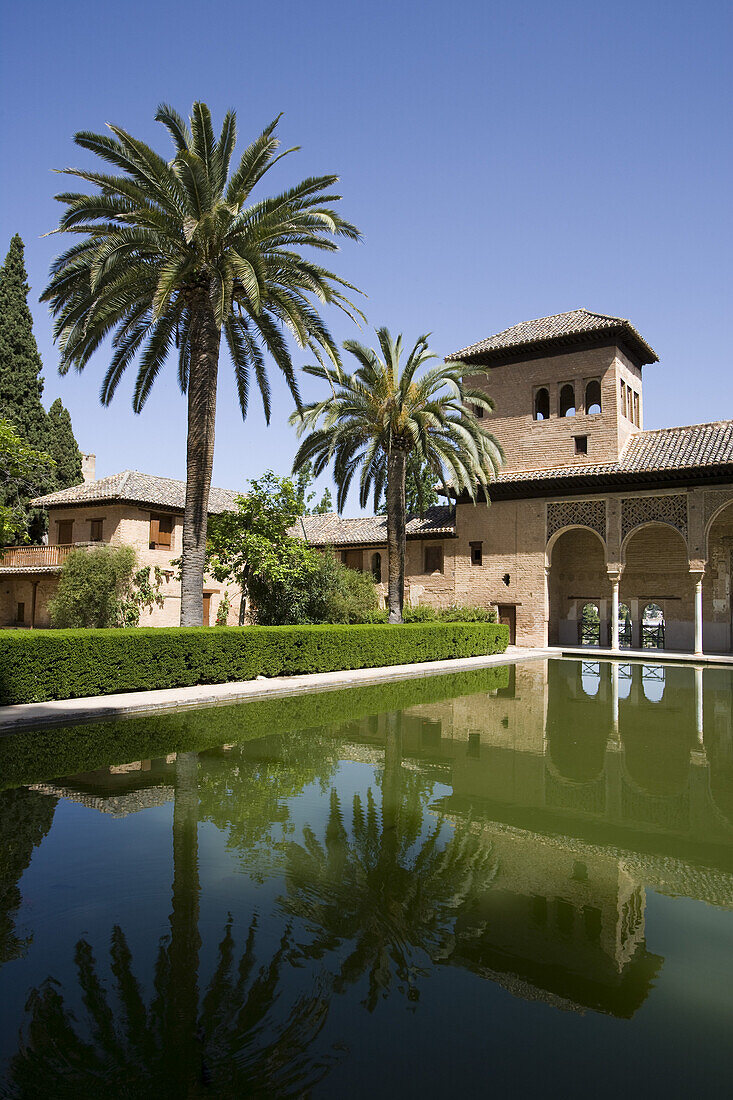 Teich und Palmen am Alhambra Palast, Granada, Andalusien, Spanien, Europa