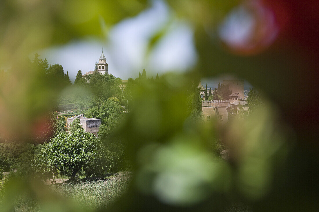 Gardens of Alhambra Palace in the sunlight, Granada, Andalucia, Spain, Europe