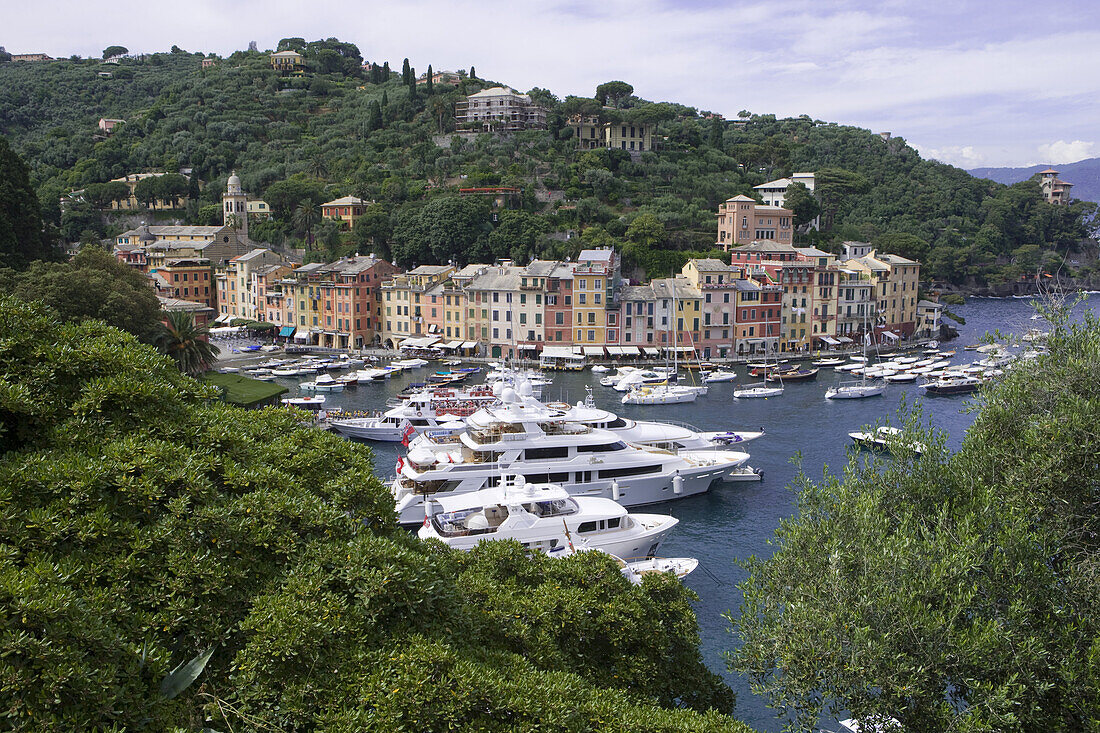 Blick auf Jachten im Hafen, Portofino, Ligurien, Italien, Europa
