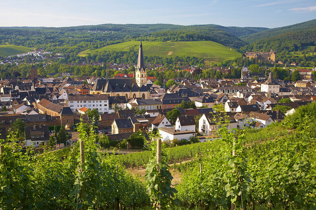 Blick über Weinberg auf Ahrweiler, Bad Neuenahr-Ahrweiler, Rheinland-Pfalz, Deutschland