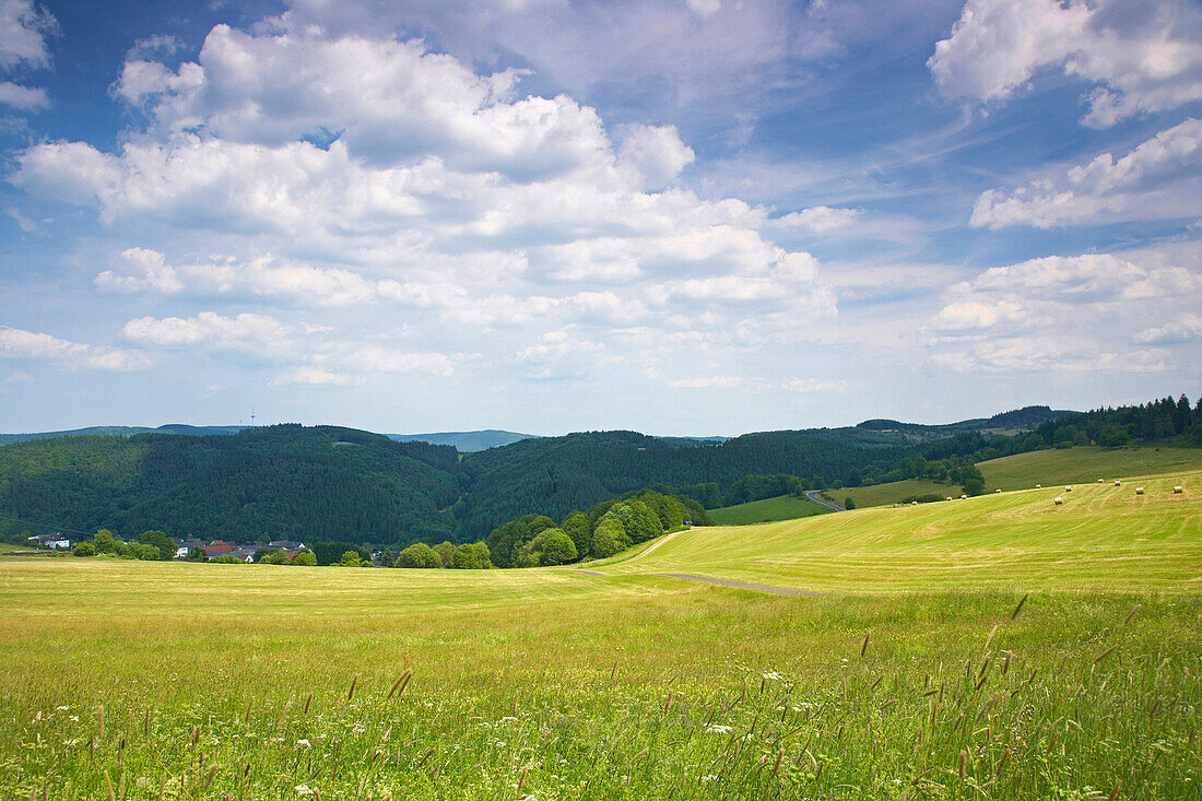 Landschaft bei der Hohen Acht, Eifel, Rheinland-Pfalz, Deutschland