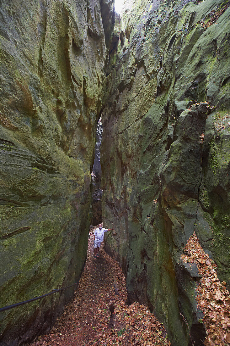 Teufelsschlucht near Irrel, Eifel, Rhineland-Palatinate, Germany, Europe