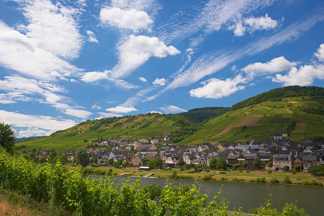 Blick über Mosel auf Reil, Rheinland-Pfalz, Deutschland