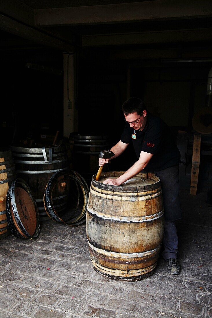 France, Champain, Domaine Bollinger, Barrel maker MOF Meilleur ouvrier de france Denis Saint-Arroman, repairing a barrel
