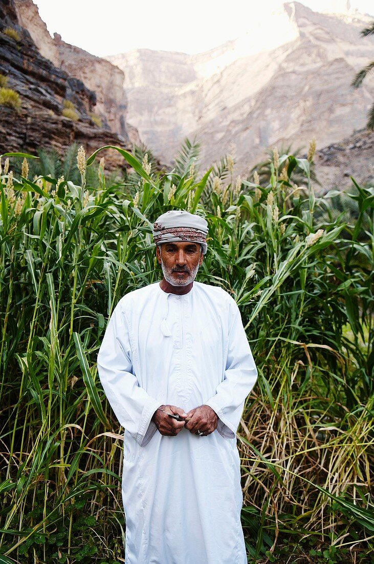 Middle East, Oman, Hajar mounts, ghost village of Wadi Ghul people living in the canyon of Wadi Ghul, herbs for animals crop