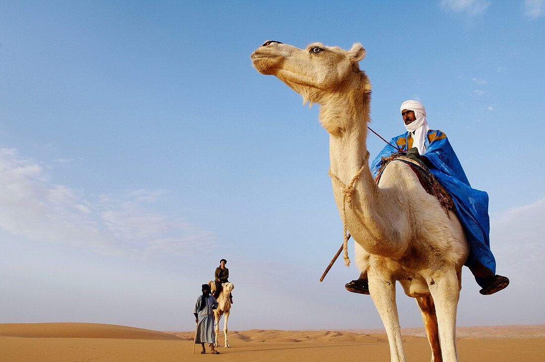 Camel riding near Chinguetti, Adrar Plateau, Sahara desert, Mauritania