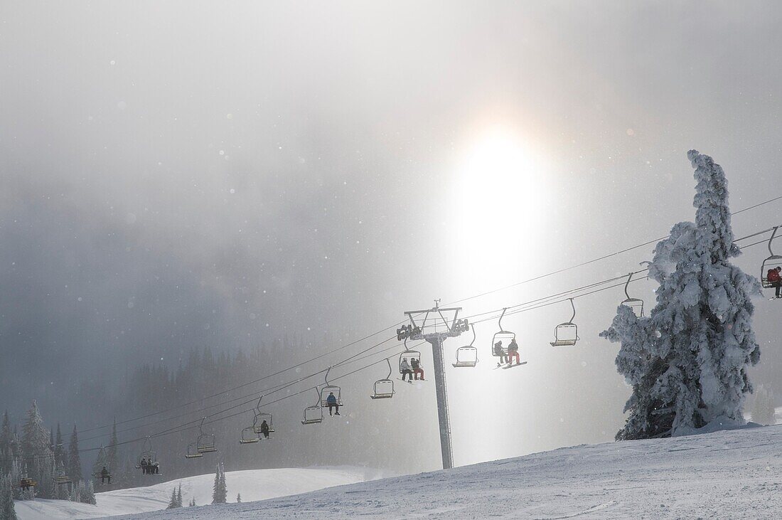 Canada, BC, Sun Peaks Ski Resort Sun and mist behind Christal Chair Lift