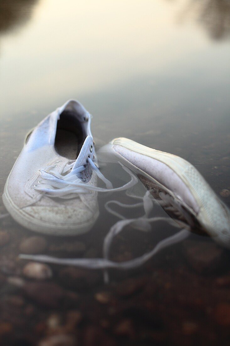 A pair of plimsolls in the water close to a riverbank