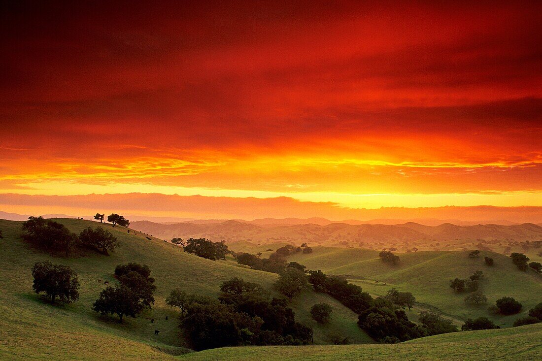 Sunset in the hills near Los Olivos, Santa Barbara County, California