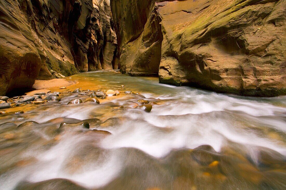 Cascade in the Virgin River Narrows, Zion National Park, Utah