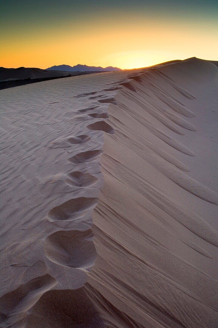 Footprints in sand dune at sunrise, North Algodones Dunes Wilderness, Imperial County, California