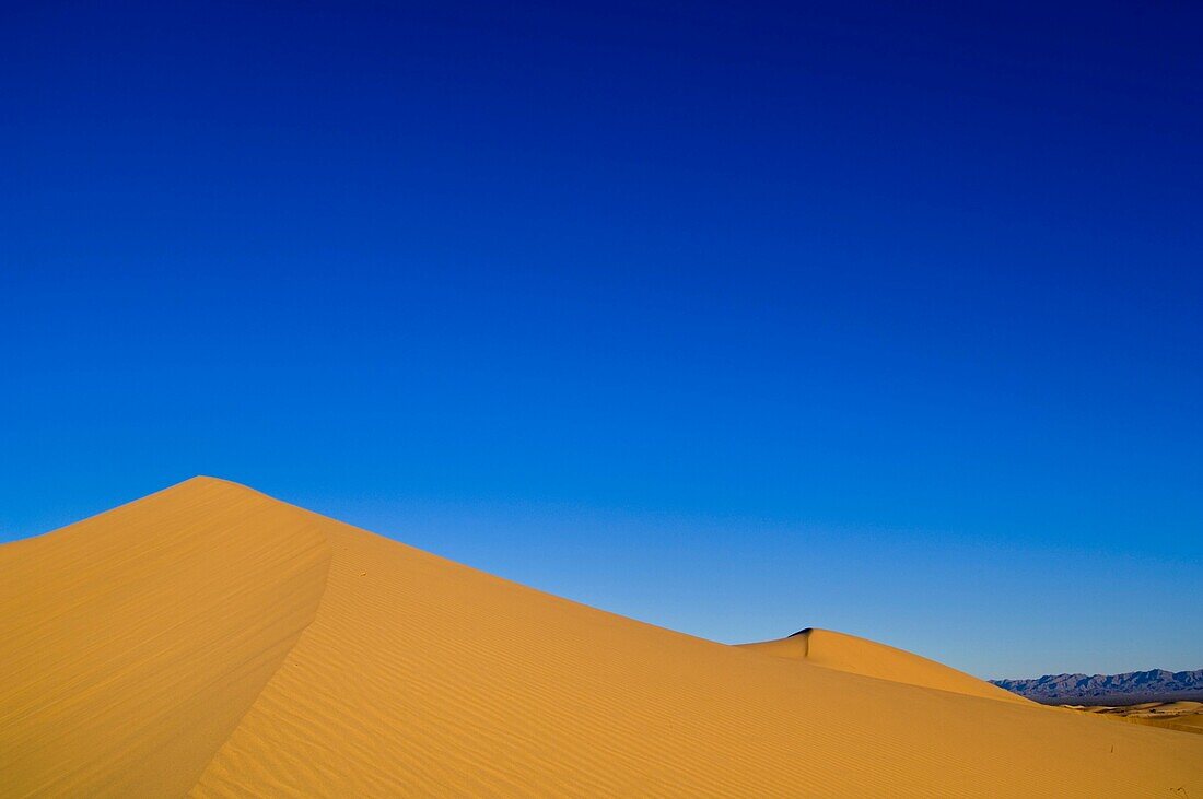 Sand dunes in morning light, North Algodones Dunes Wilderness, Imperial County, California