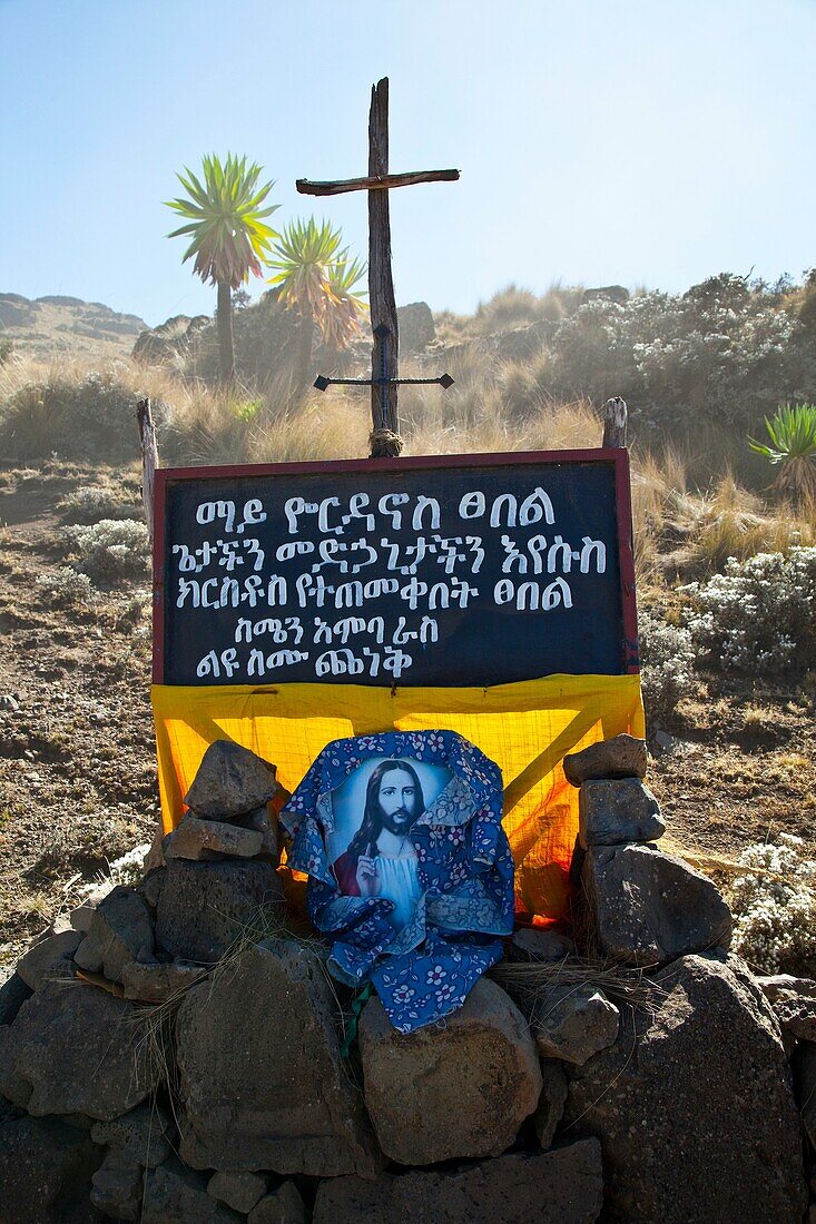 Holy Fountain, Simien Mountains, Ethiopia, Africa