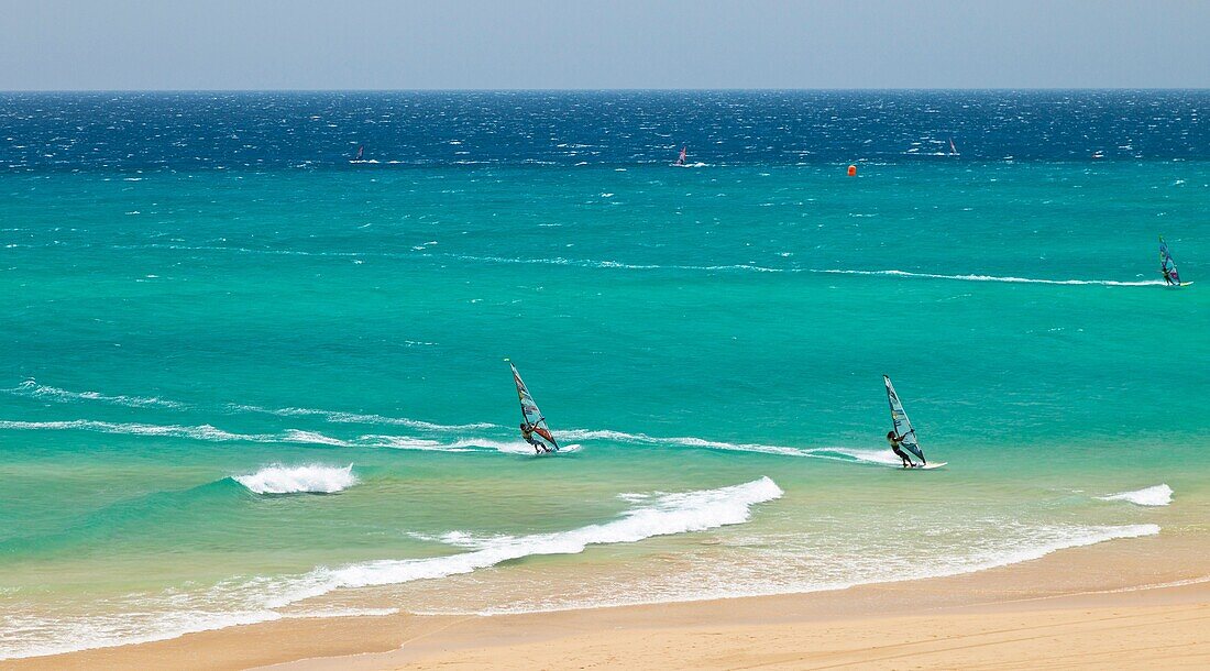 Windsurf Playa de Sotavento Península de Jandía Isla Fuerteventura Provincia Las Palmas Islas Canarias España