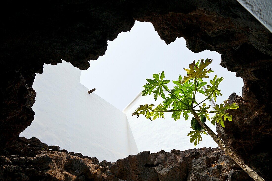 Casa Museo de César Manrique Pueblo Tahiche Isla Lanzarote Provincia Las Palmas Islas Canarias España