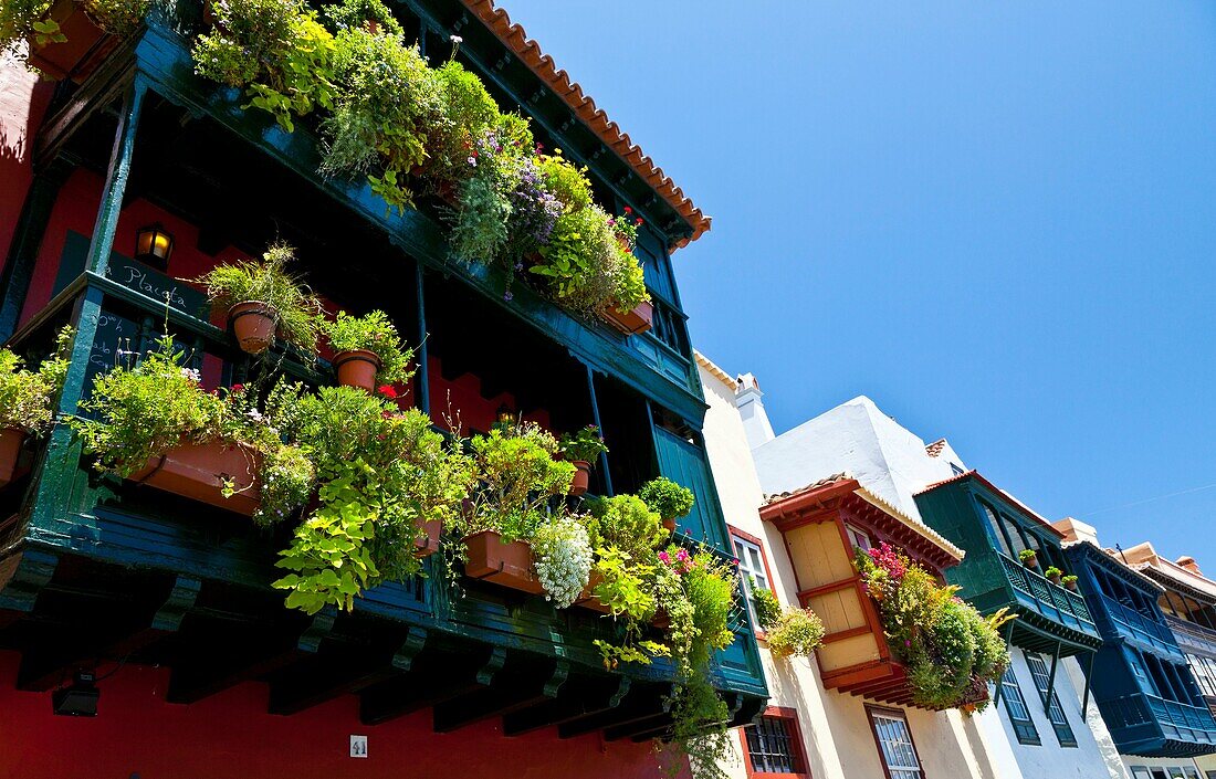 Arquitectura tradicional Balcones Típicos Avenida Marítima Ciudad Santa Cruz de la Palma Isla La Palma Provincia Santa Cruz Islas Canarias España