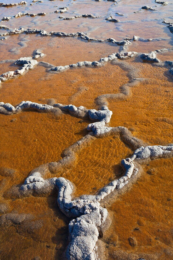 Salinas de Punta Larga Pueblo Fuencaliente Isla La Palma Provincia Santa Cruz Islas Canarias España