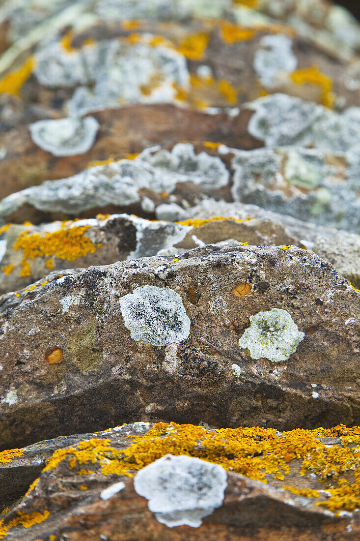 Stone walls, Skaill House residence by Skara Brae Neolithic settlement, Mainland, Orkney, Scotland, UK