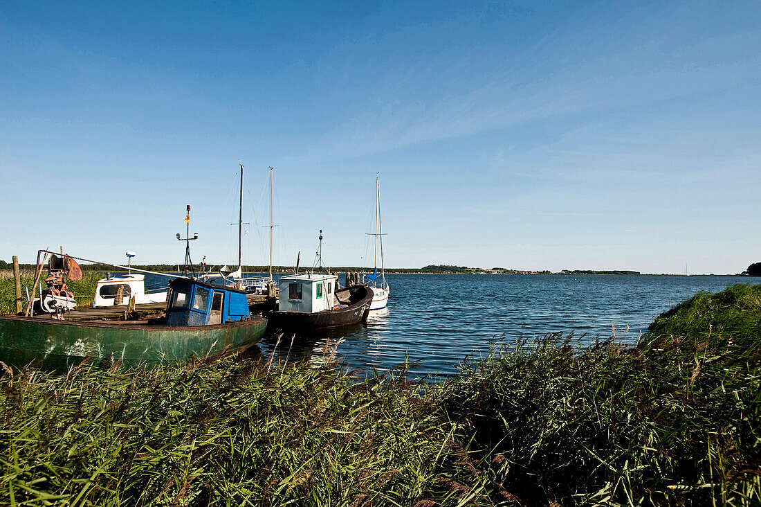 Fishing boats in the bay, Seedorf, Island of Rügen, Mecklenburg-Vorpommern, Germany
