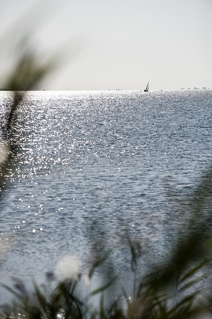 Meeresblick, Insel Rügen, Ostsee, Mecklenburg-Vorpommern, Deutschland